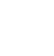 fox fox